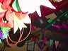 dsc00150