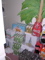 DSCN4647