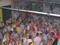 ZENZATIE_TROPICAL_06_05_20019