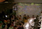ZENZATIE_TROPICAL_06_05_20022