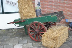 DSC00870